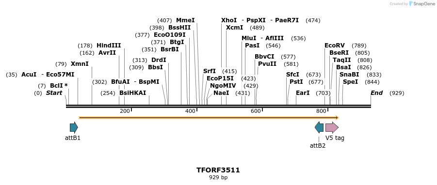 287076_map