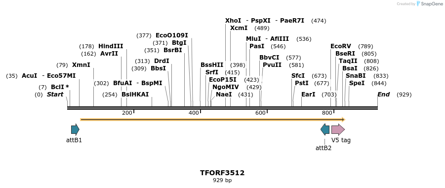 287079_map