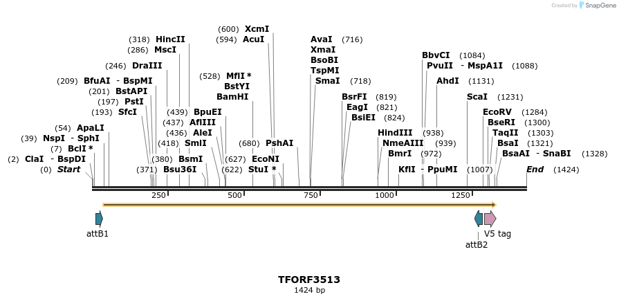 287082_map