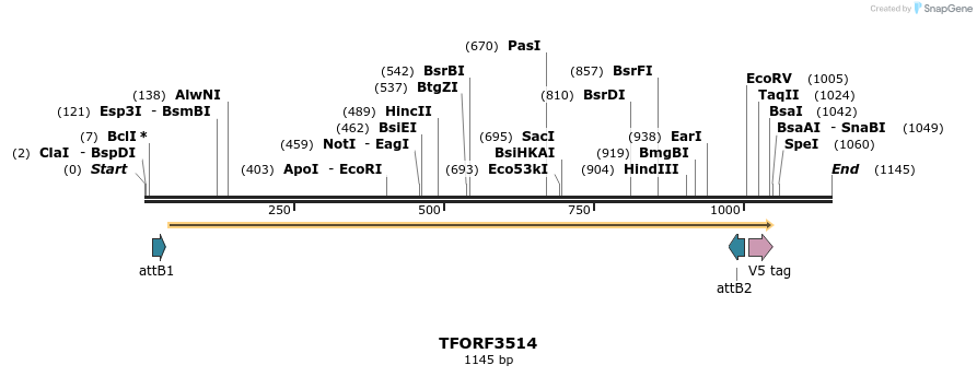 287085_map