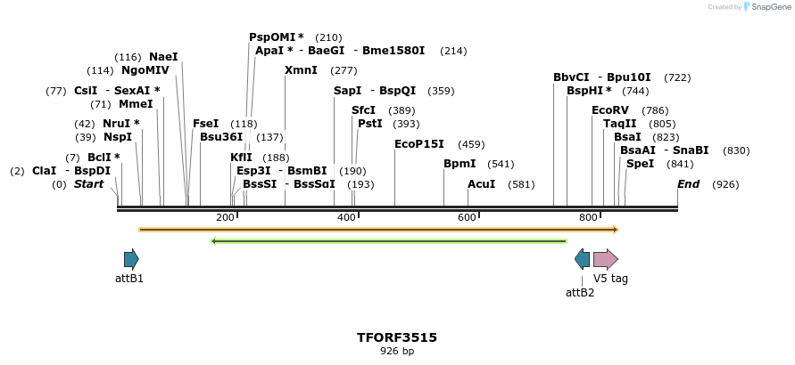 287088_map