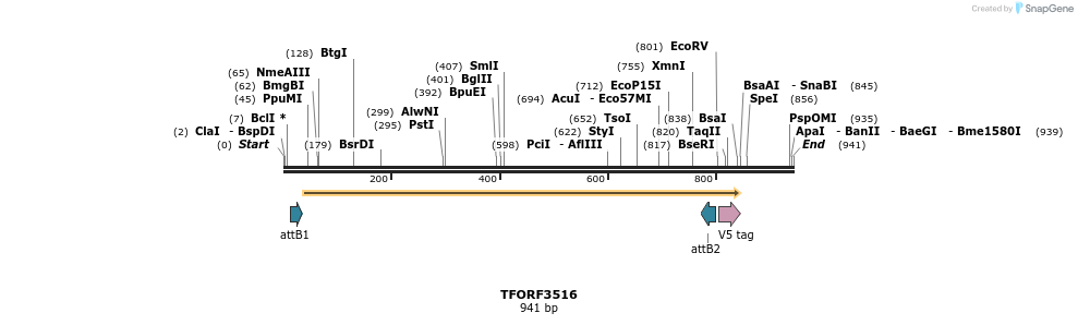 287091_map