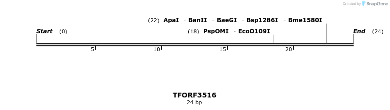 287092_map