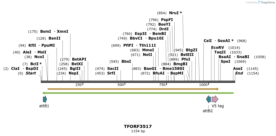 287094_map