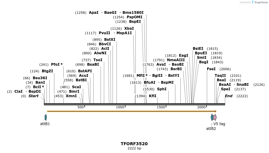 287103_map