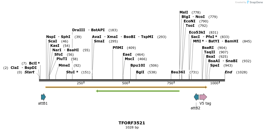 287106_map