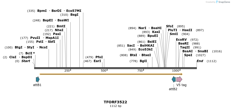 287109_map