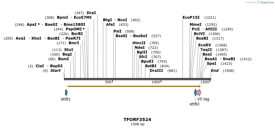 287115_map
