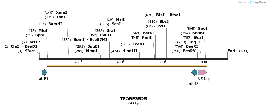 287118_map