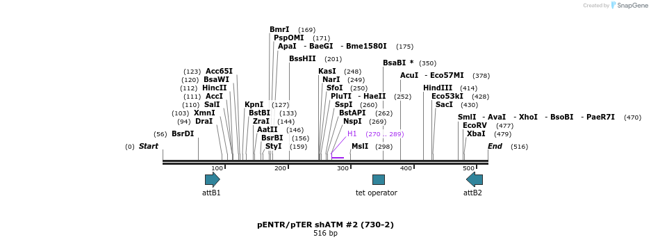 28712_map