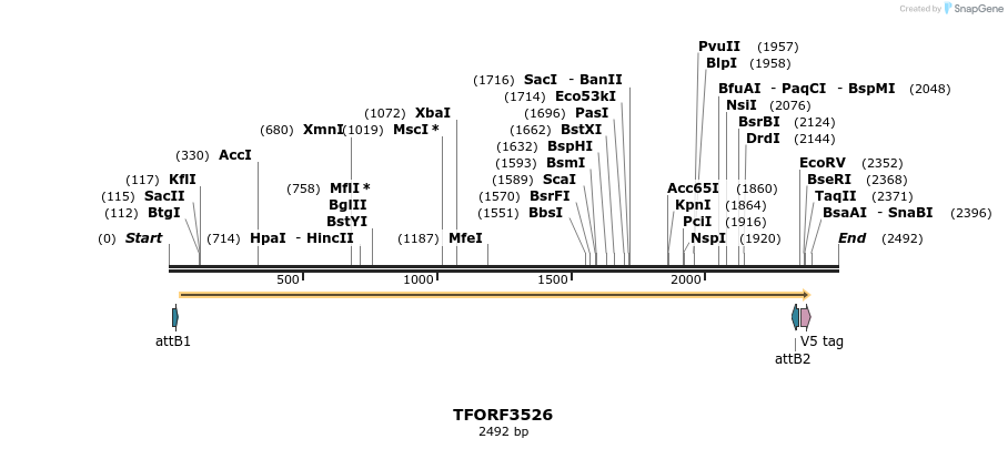287121_map