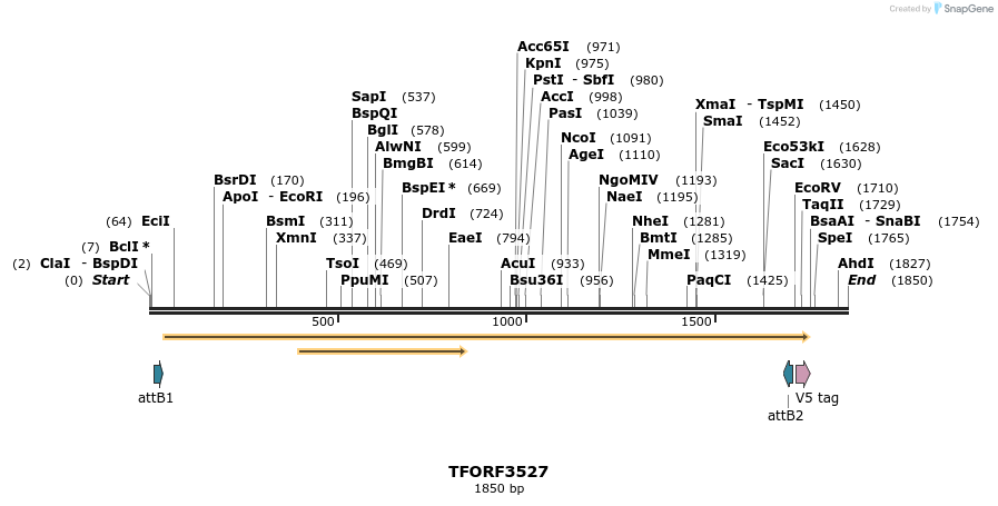 287124_map