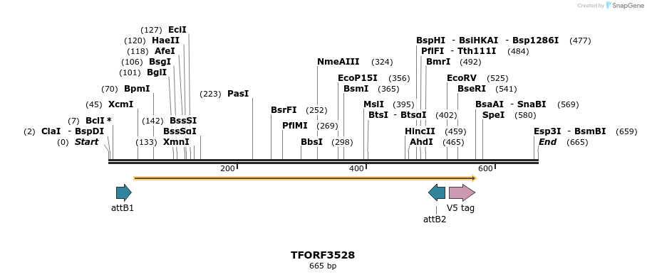 287127_map