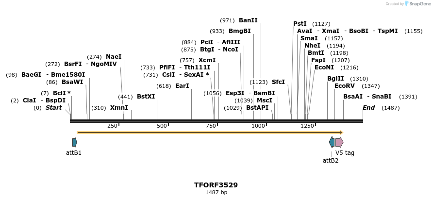 287130_map