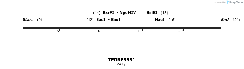287137_map