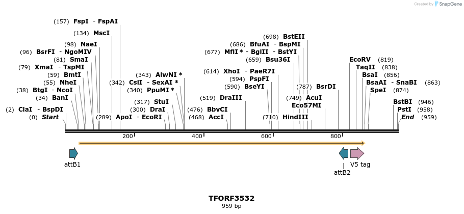 287139_map