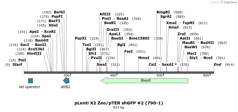 28714_map