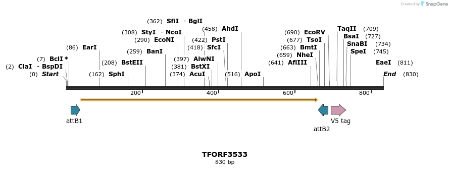 287142_map