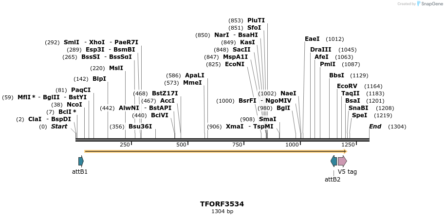 287145_map