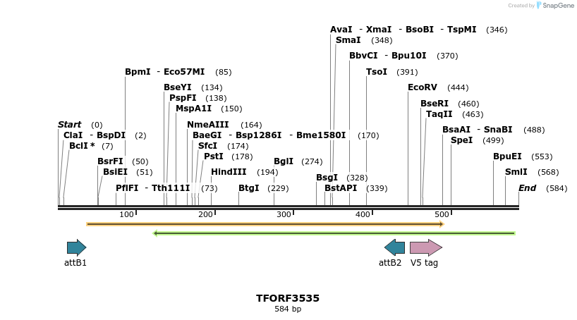 287148_map