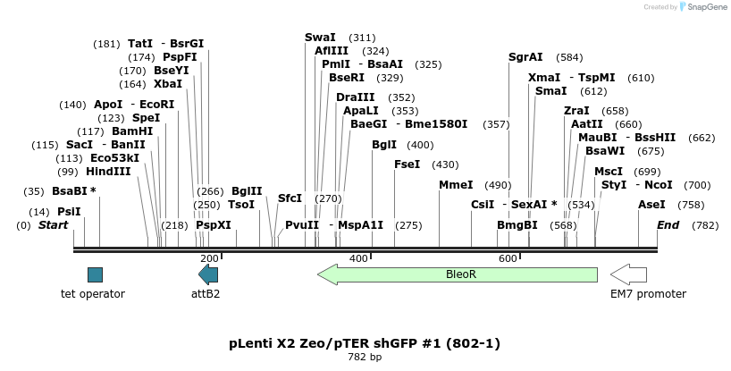 28715_map