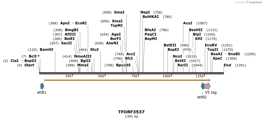 287154_map