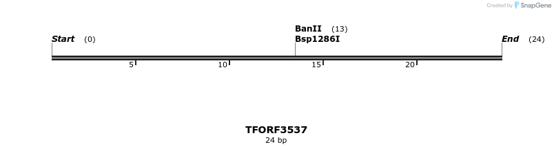 287155_map
