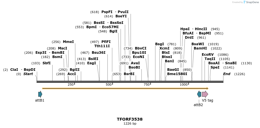 287157_map