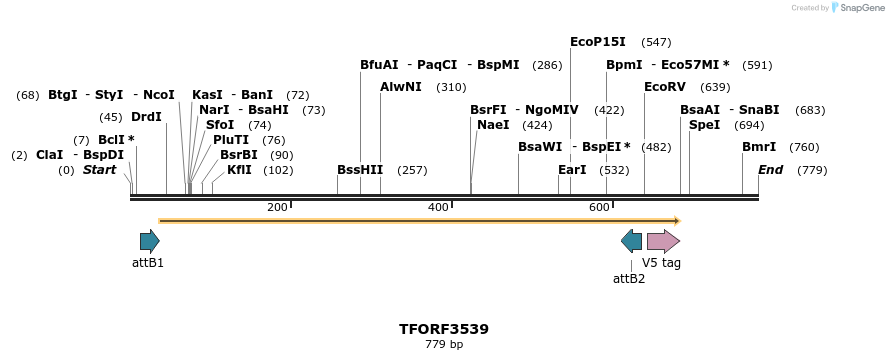 287160_map