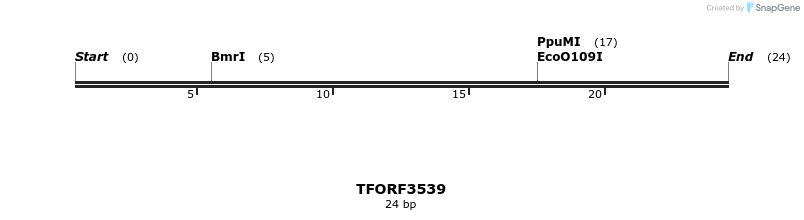 287161_map