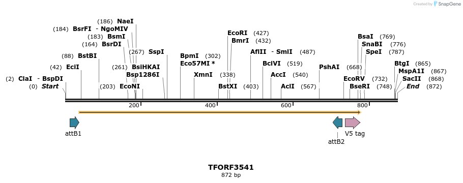 287166_map