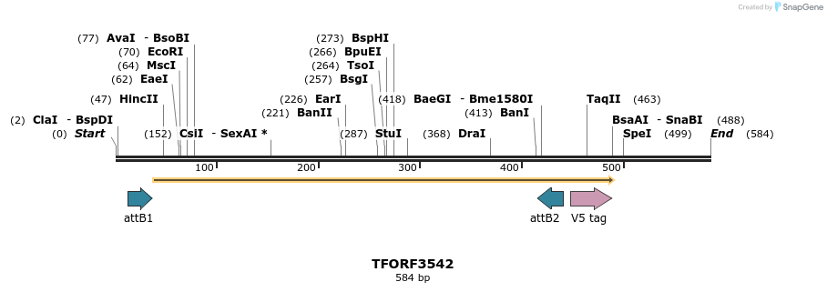 287169_map
