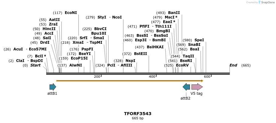 287172_map