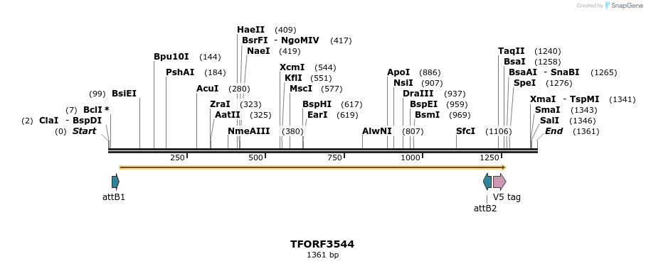287175_map