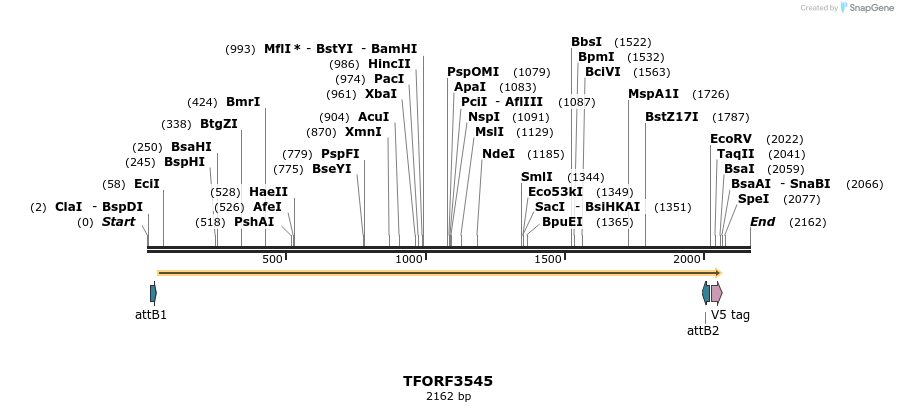 287178_map