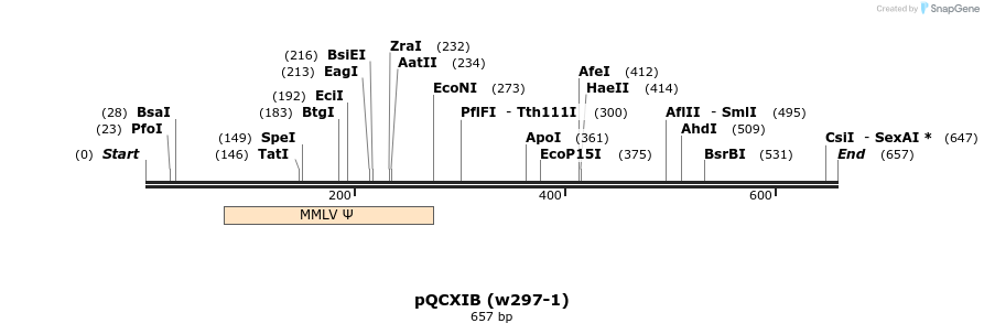 28718_map