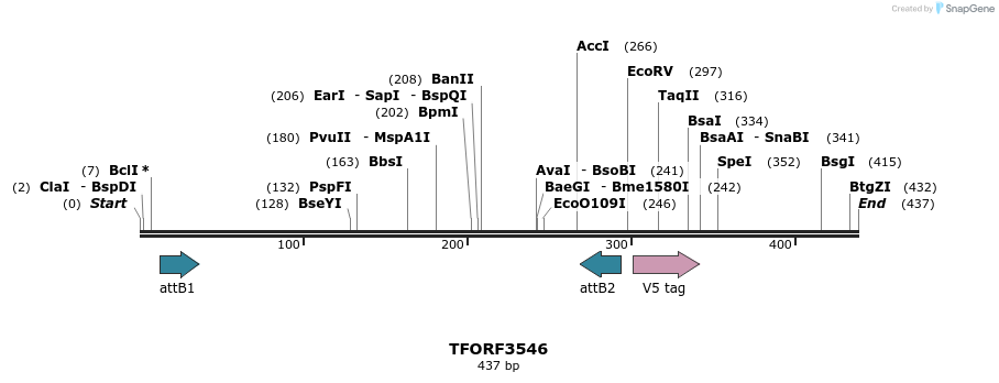 287181_map