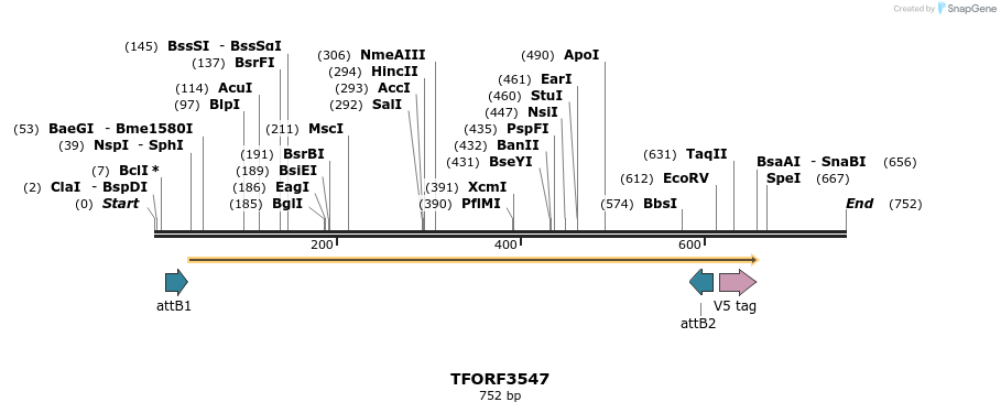 287184_map