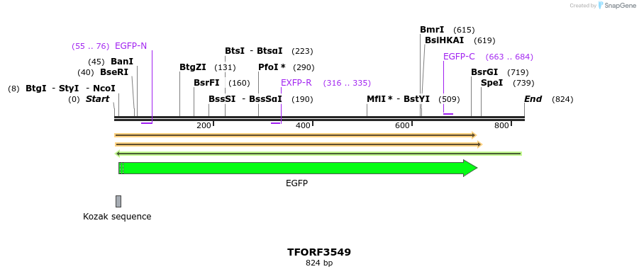 287190_map