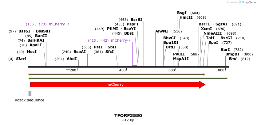 287193_map