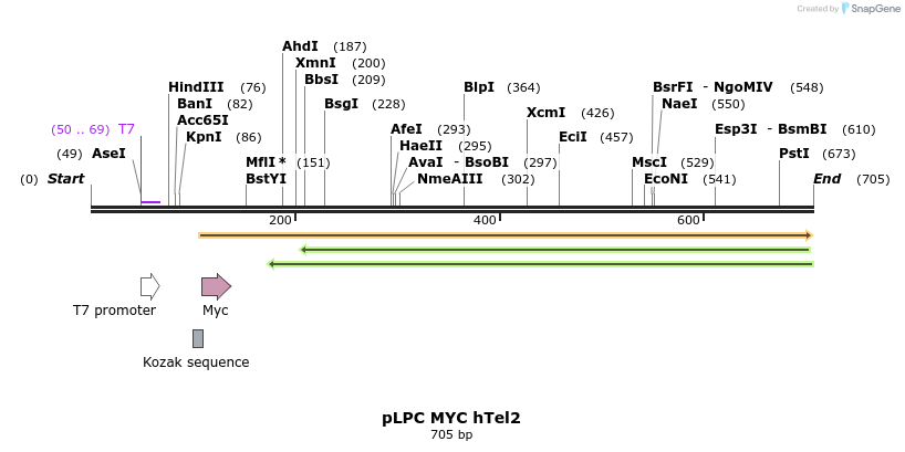28720_map