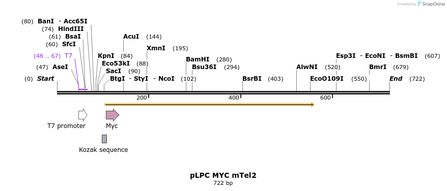 28721_map