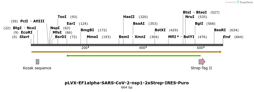 287218_map