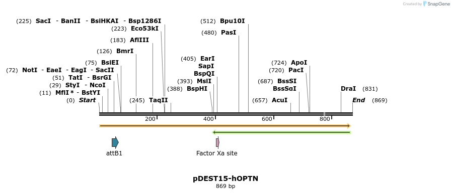 28722_map