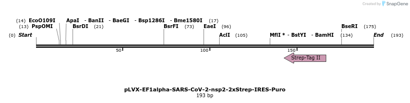 287222_map