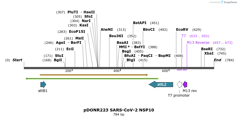 287223_map