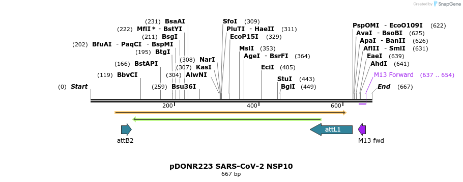 287224_map