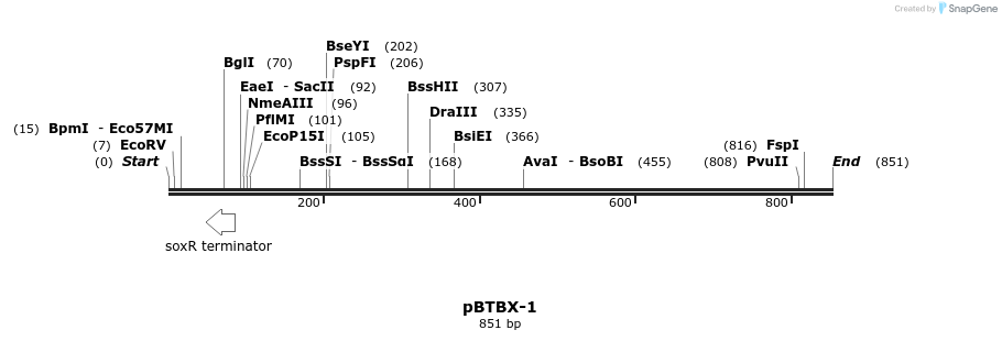 28723_map