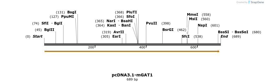 28725_map