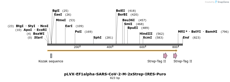 287293_map